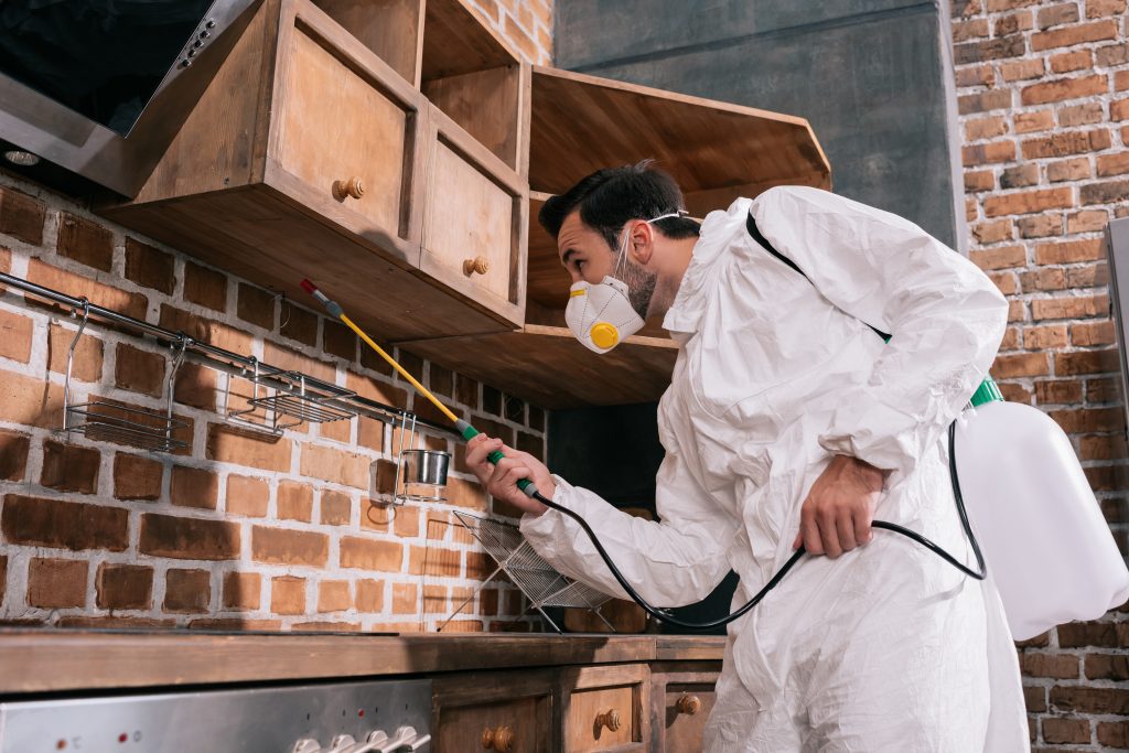 pest control worker spraying pesticides under shelves in kitchen